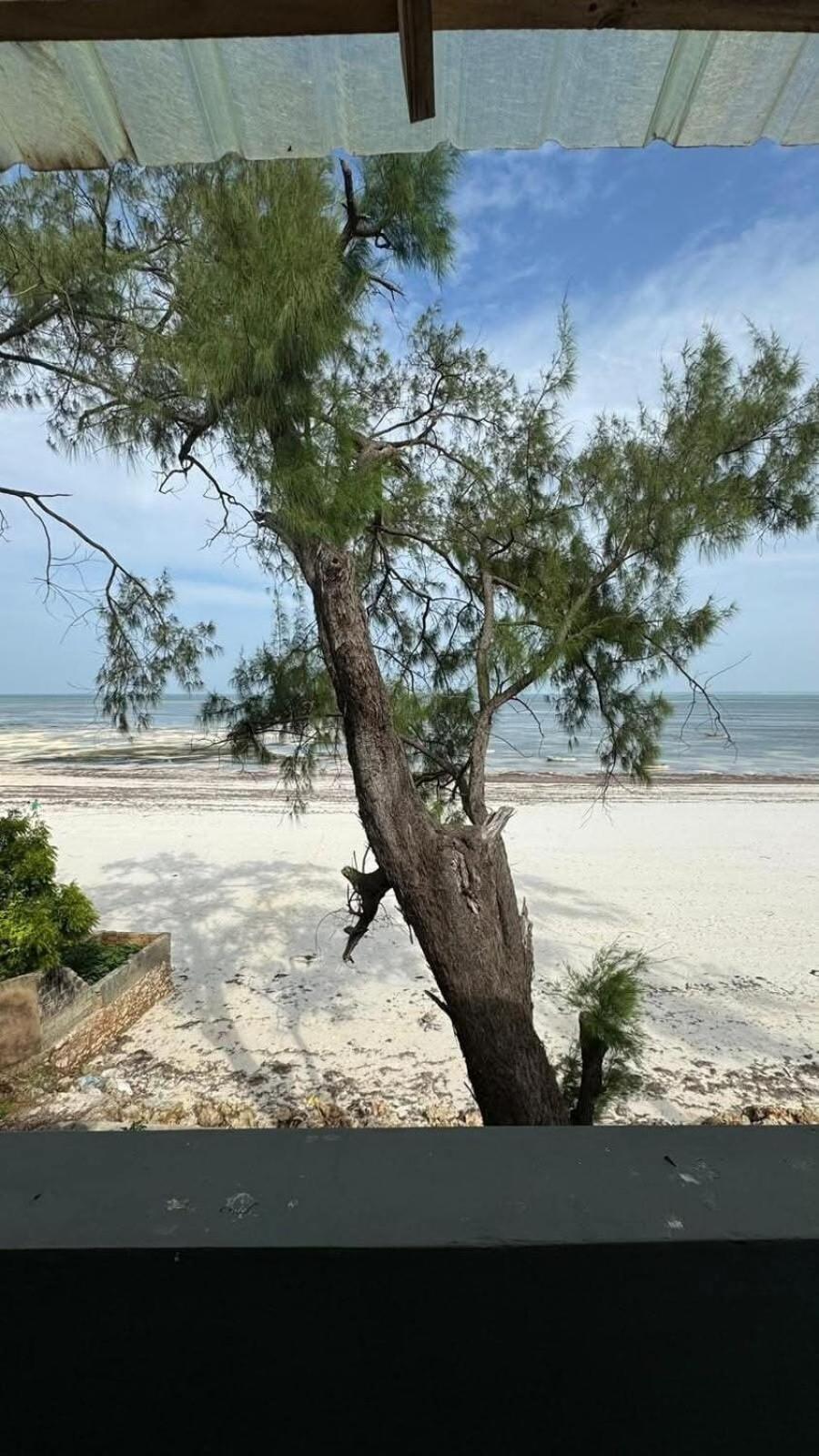 Apartment Oceanfront Oasis 2-bedroom Master In Uroa, Zanzibar *
